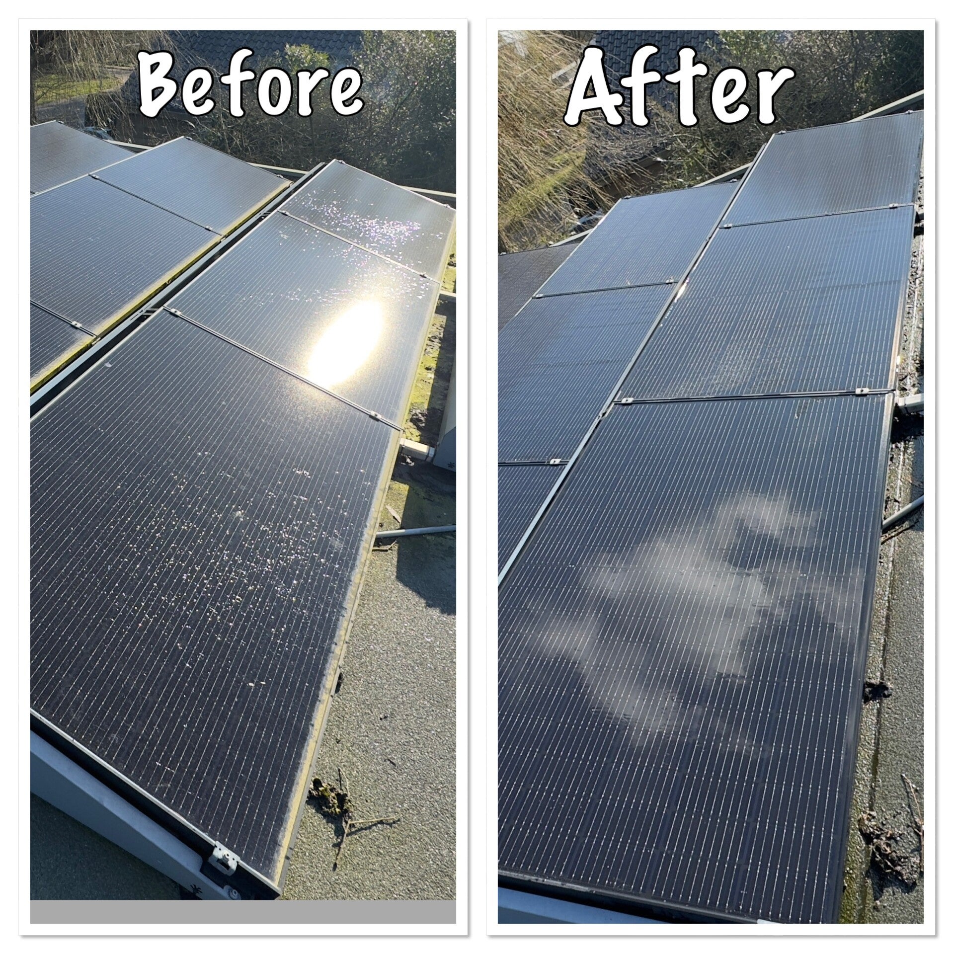 Zonnepanelen met vogelpoep en pollen